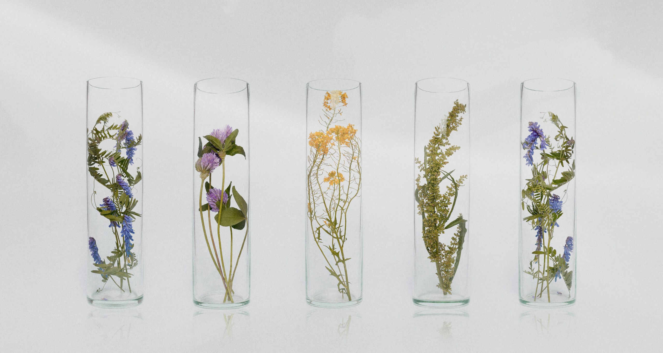 Bottle,Natural,Cosmetics,Organic,Product,From,Plants,And,Flowers,,Herbal