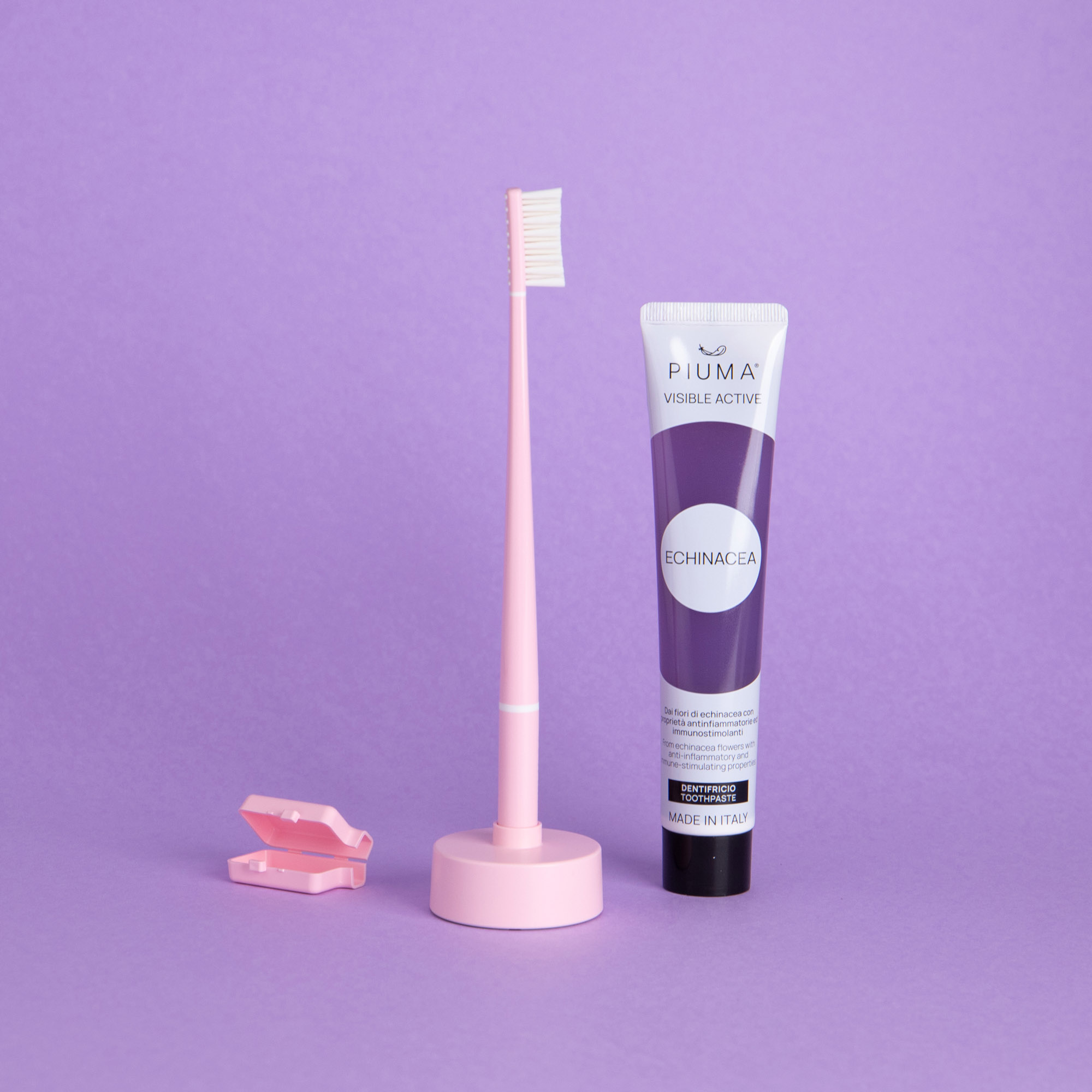 set-Echinacea-pink2