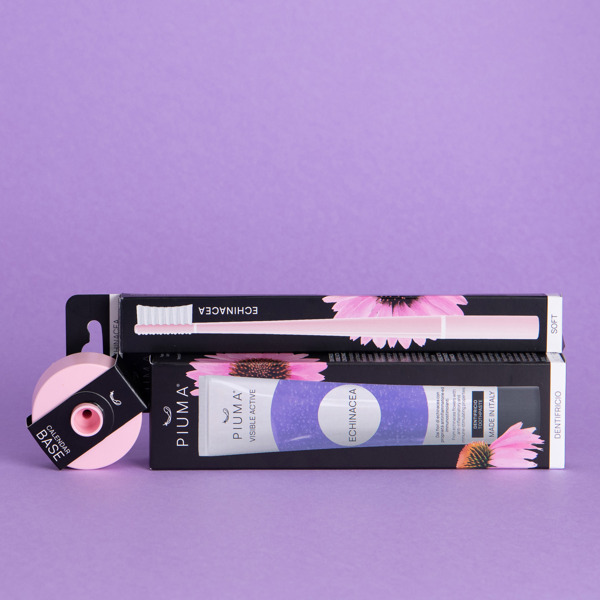 set-Echinacea-pink3